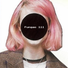 Fungao 111
