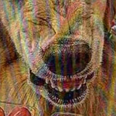 inthagrave dead husky