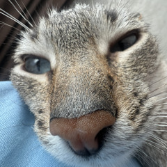 ??