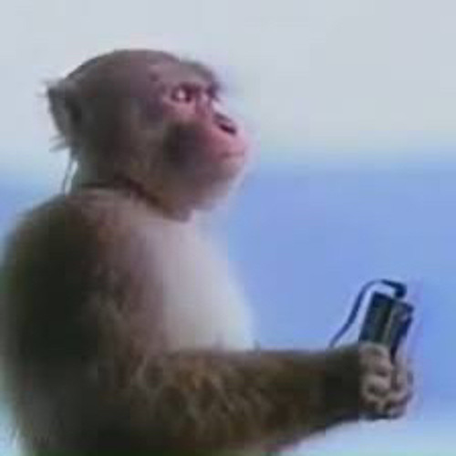 寂寞的人伤心的歌 18倍速版