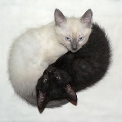 2byte