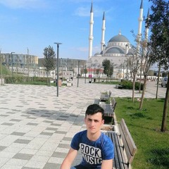 shahzad
