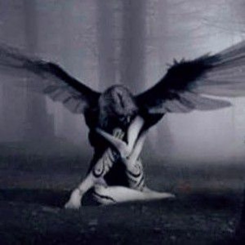 Angel in the Dark - YT Channel’s avatar