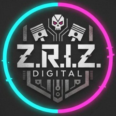 Z.R.I.Z. DIGITAL