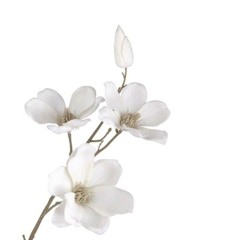 ⊹!¡LESsKa_X33🦭