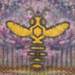 Tachytelic Tie Dyes (Nikihole22)