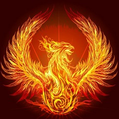 Ignite The Phoenix