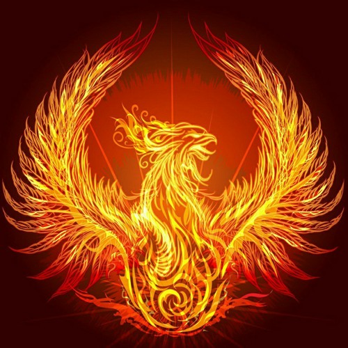 Ignite The Phoenix’s avatar