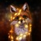 Alex Fox