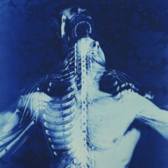 𝚟𝚒𝚛𝚝𝚞𝚊𝚕𝚊𝚛𝚔𝚊𝚗𝚐𝚎𝚕
