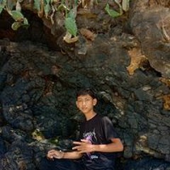 Agus Darmawan