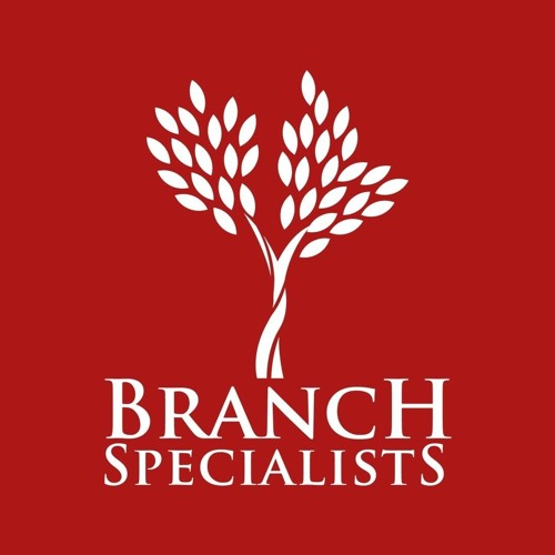 Top Tree Service East Amherst NY Professionals Your Go - To Guide (1)