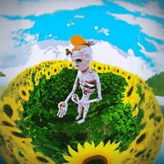 polynomical