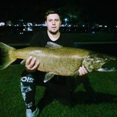Marcin Barthi Zlife