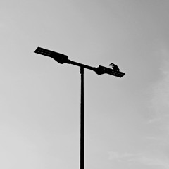 LXS