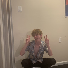ltl timmy