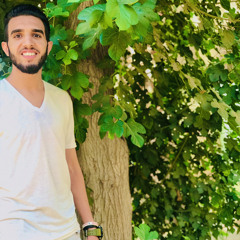 Essam Azzam Harb