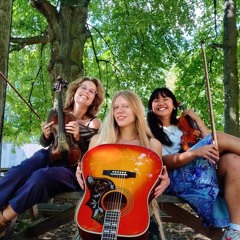 Ultieme Hallucinatie (Live)