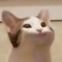 Пасілецький Олександр