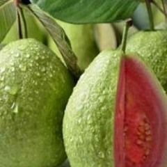 Aandhu Aandhu