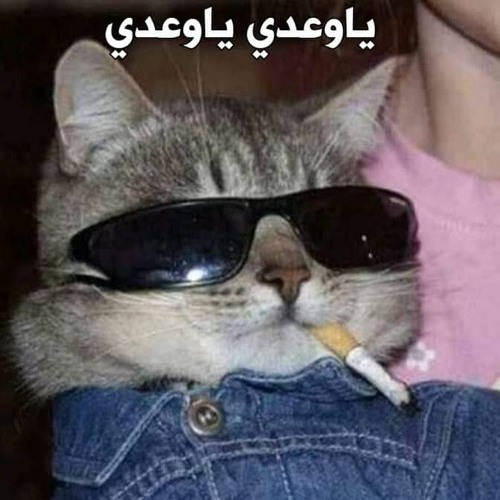 قلبي دايب من الغرام