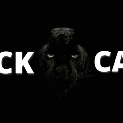 BLVCK CVT