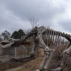 ☝️🌲🛸forest