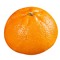 The_Capy1441