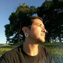 Reggae pra ouvir chapado 🍁