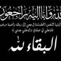 ابو احمد المصري