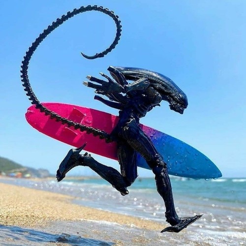 Alien Invasion’s avatar