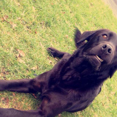 Lucy Mayor