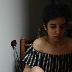 fateme Akbari