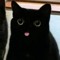 Mun Cat
