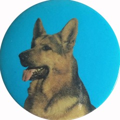 RADIO TOUT FAIT SENS