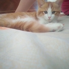 jessicaaaaaaa