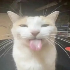 Tiwens