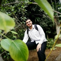 Amaarsaed Nasr
