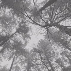 ☁︎