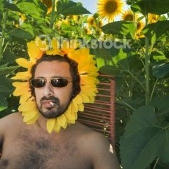 Rise and Shine. Sunflowerman