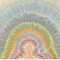i.am.lotus.3