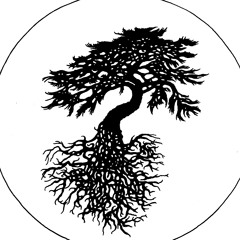 Gauthier de Hemptinne