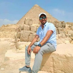 Walid Abdel Fatah - Owner Of Emax Leasing LLC