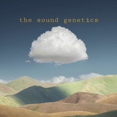 The Sound Genetics