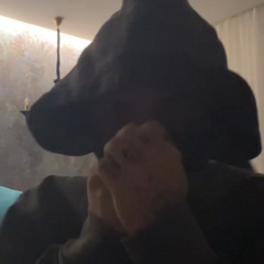 hiddenblunts