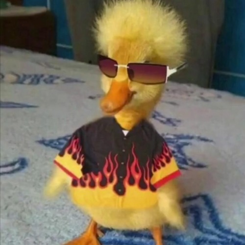 Miquel Salam - M - Ai Zapacit!