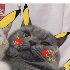 minhhiumeomeo