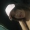 Biancasoaresdasilva2009