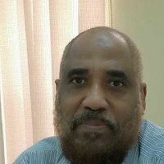 الرشيد الشيخ حامد