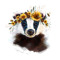 Badger
